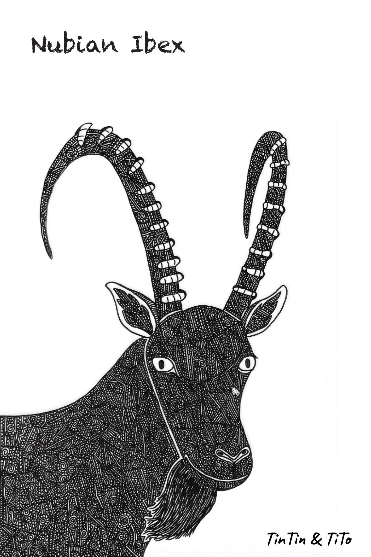 Once and Still Wild: Nubian Ibex (Artprint with AR) By Tintin and Tito