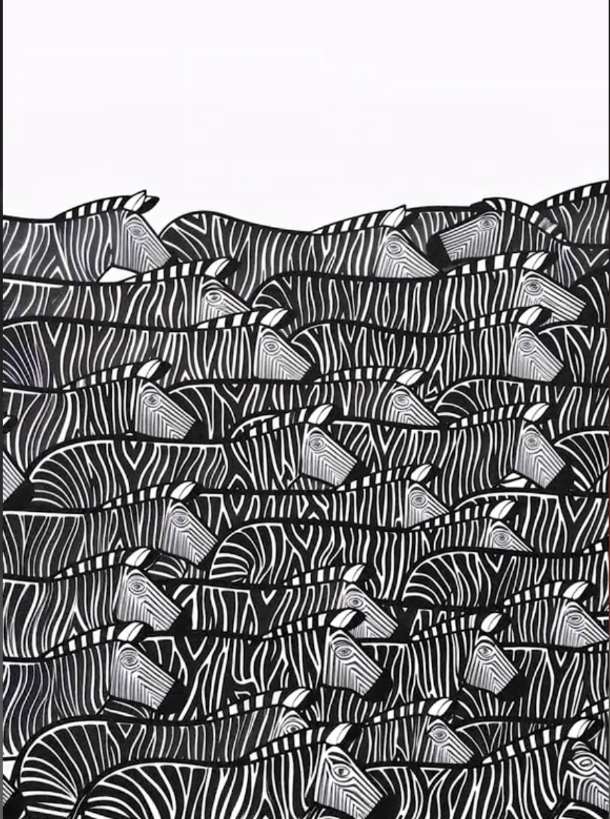 [Test] Zebra art print by tintin and tito