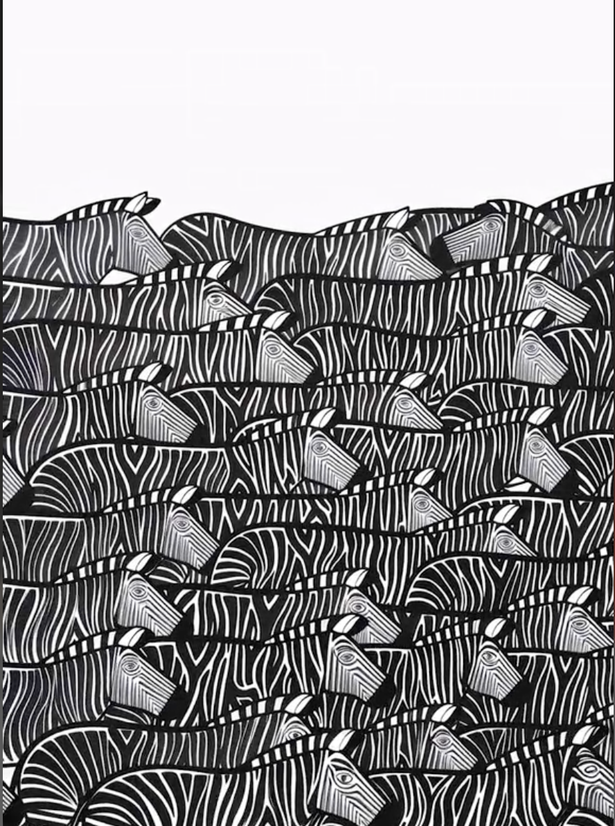 [Test] Zebra art print by tintin and tito