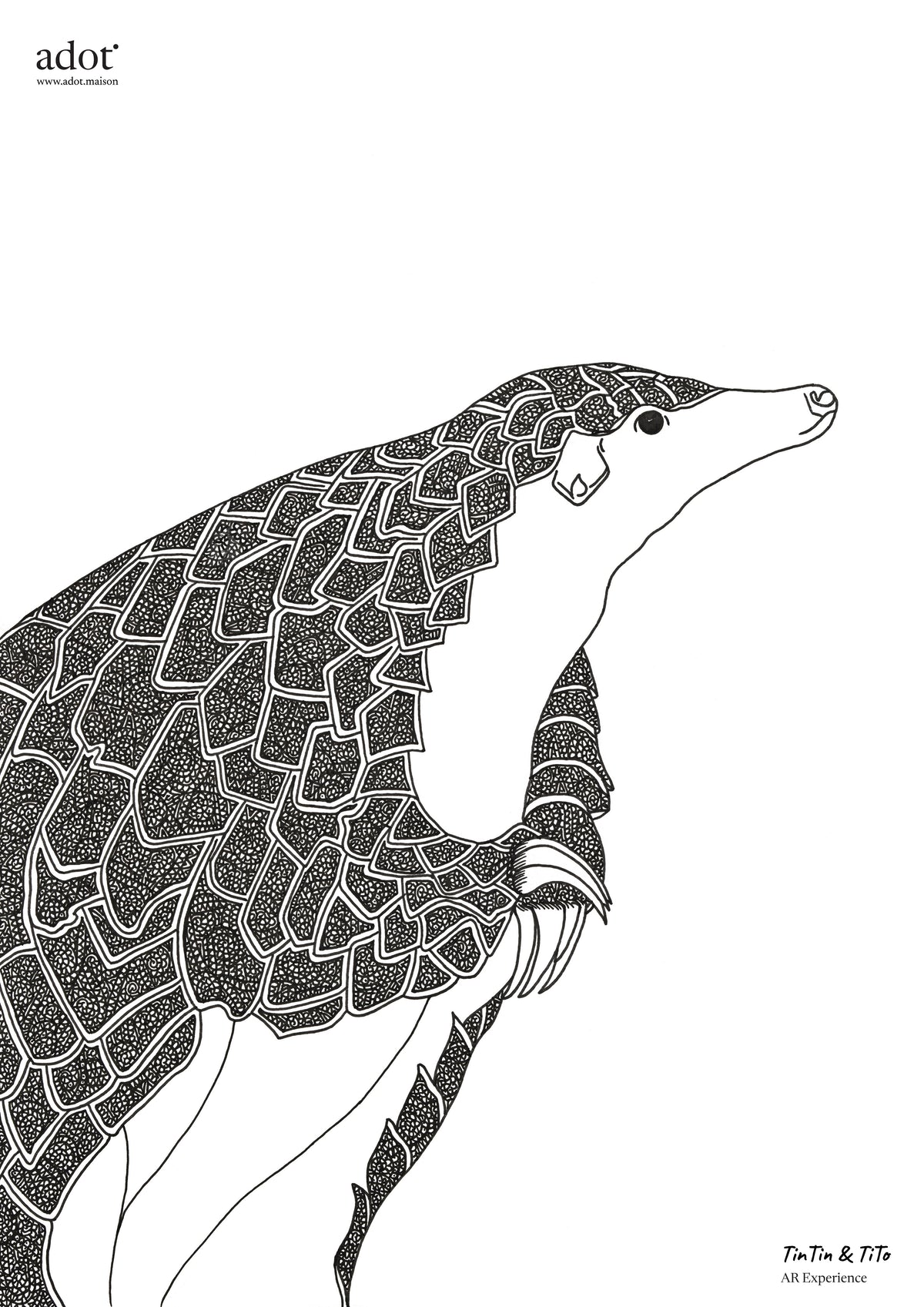 Once and Still Wild: Sunda Pangolin (Artprint with AR) By Tintin and Tito