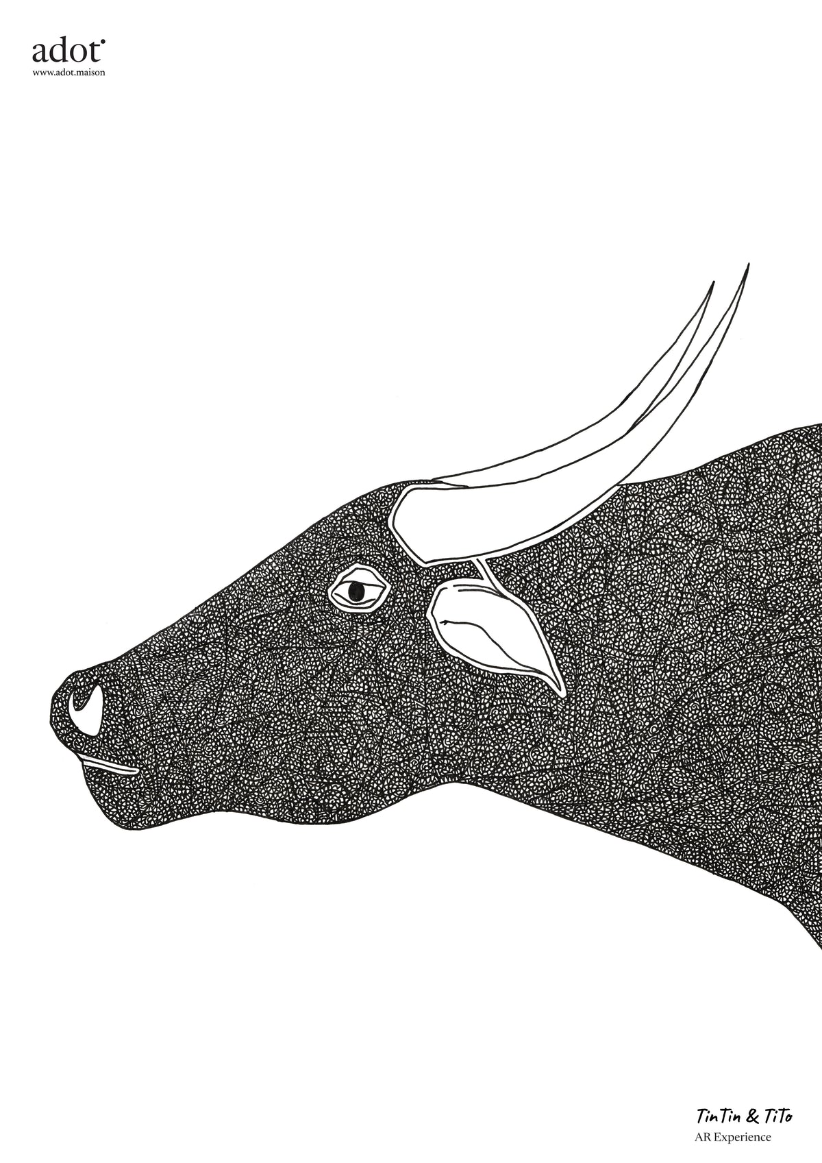 Once and Still Wild: Water Buffalo (Artprint with AR) By Tintin and Tito