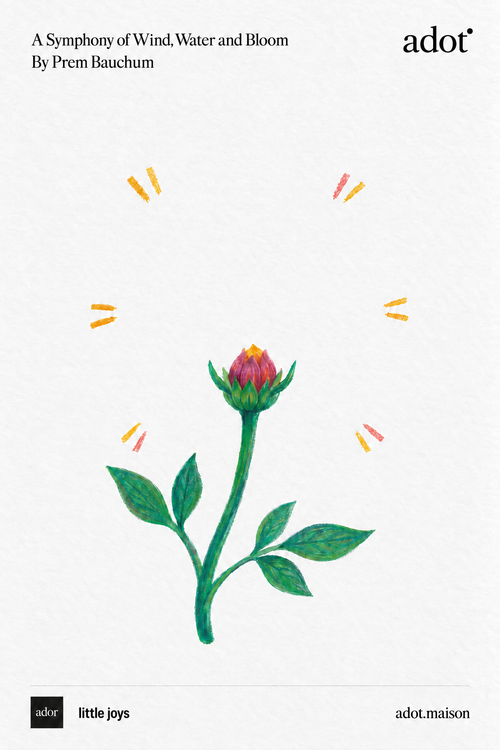 "A Symphony of Wind, Water and Bloom" Floral Postcard Workshop