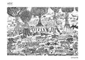 Seven Habitats : Freshwater (Artprint) By Tintin and Tito