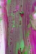 Purge/01 (Artprint) By Jame_wisit